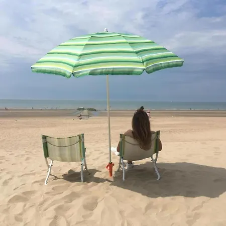 Les Petrels 502 Located Directly On The Apartment Koksijde