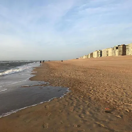 Les Petrels 502 Located Directly On The Apartment Koksijde